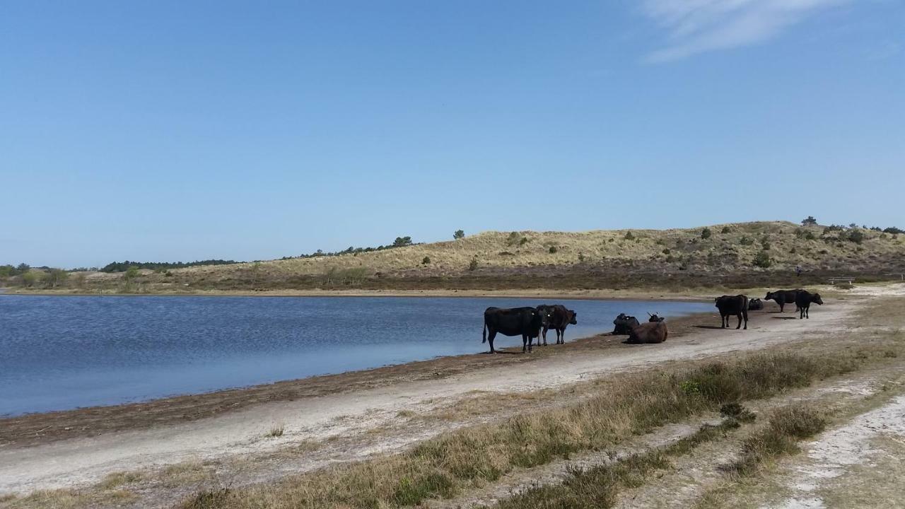 Vakantiehuis Duin Bos En Zee Σχόορλ Εξωτερικό φωτογραφία